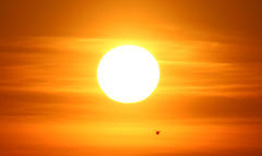 <p>сонце</p><p>해가 떴어요. = The sun has risen.</p><p>해가 져요. = The sun is setting.</p>