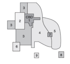 <p>circular-city model characterizing role of automobile in postindustrial era (la, houston)</p>