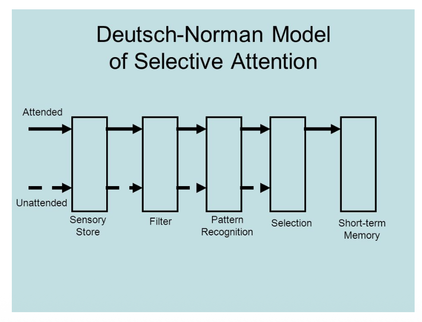 <ol><li><p>deutsch and deutsch proposed this theory stating the filter is placed closer to the output of processing systems </p></li><li><p>all info is initially analysed for relevance then passed on to a filter if found pertinent</p></li><li><p>selection occurs at a much later stage of processing and involves much more complex categories than physical stimulus porperties </p></li><li><p>the filter comes after meaning is ful yprocessed for both channels and info makes it to the detection/processing of meaning stage and passed on to STM for further processing and perhaps eventually to LTM </p></li></ol><p></p>