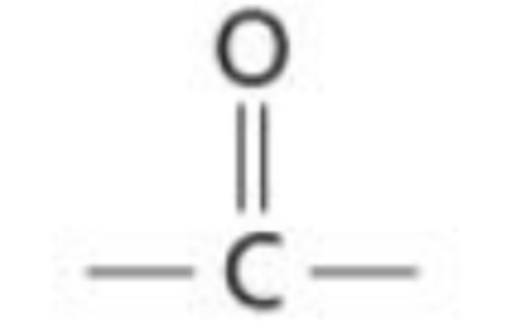 <p>A functional group consisting of carbon double bonded to an oxygen molecule (C=O) that can form aldehydes or ketones</p>