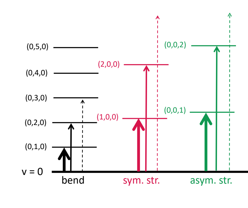 <p>where vibrational mode changes by more than one </p>