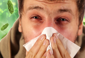 <p><strong><u>Rhinoviruses</u></strong>, <strong><u>Adenoviruses </u></strong>and <strong><u>Coronaviruses </u></strong>cause the <strong>common</strong> <strong>cold\</strong></p><ul><li><p>Disease of the <strong>upper respiratory tract</strong></p></li></ul><p></p>