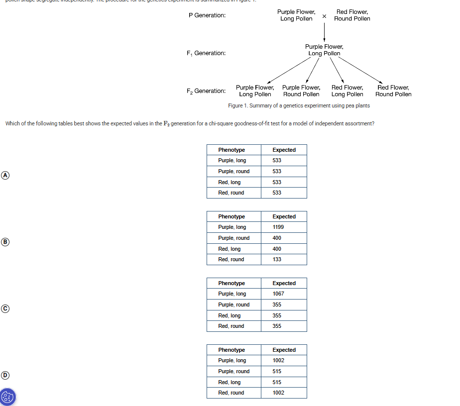 <p>In pea plants, purple flower color is dominant to red flower color and long pollen grains are dominant to round pollen grains. Researchers crossed two pure-breeding lines of the pea plants to investigate whether the genes controlling flower color and pollen shape segregate independently. The procedure for the genetics experiment is summarized in Figure 1.<br><span>Which of the following tables best shows the expected values in the F2 generation for a chi-square goodness-of-fit test for a model of independent assortment?</span></p>