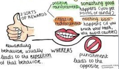 <p>Law of effect</p>