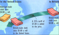 <p>taxes that would make imported goods cost more than those made locally</p>