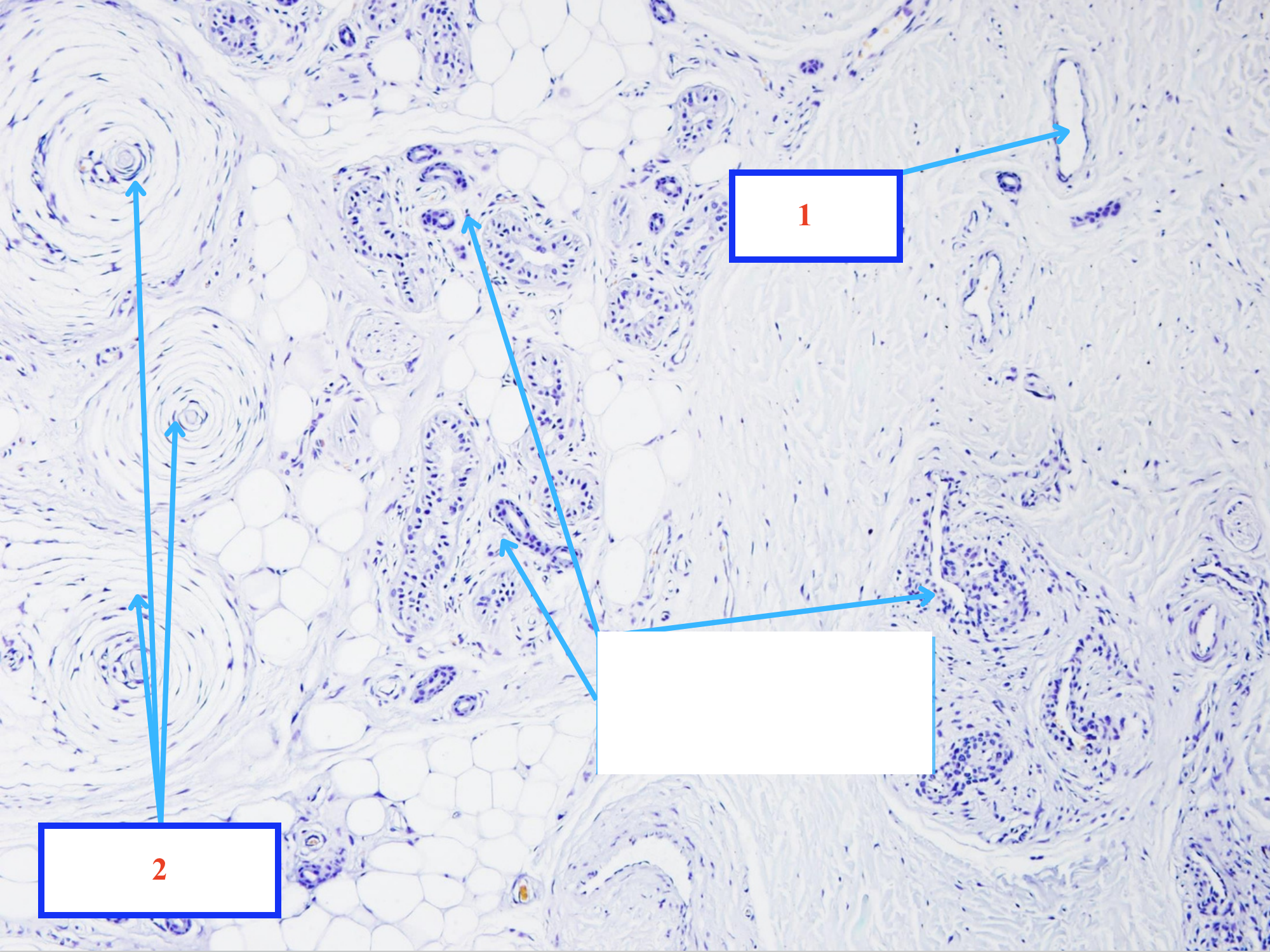 <p>Cấu trúc gì ?</p>