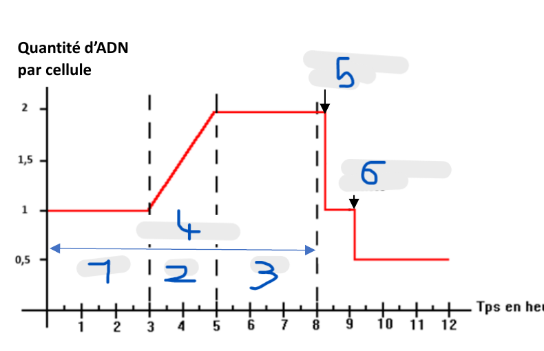 <p><span style="font-size: medium;">Plateau initial à </span><strong>1 UA</strong></p>