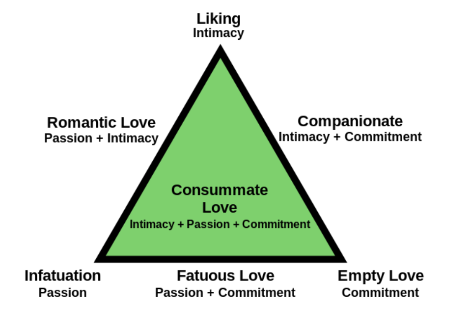 <p></p><p>A framework proposed by Robert Sternberg that describes love in terms of three components: intimacy, passion, and commitment. </p>