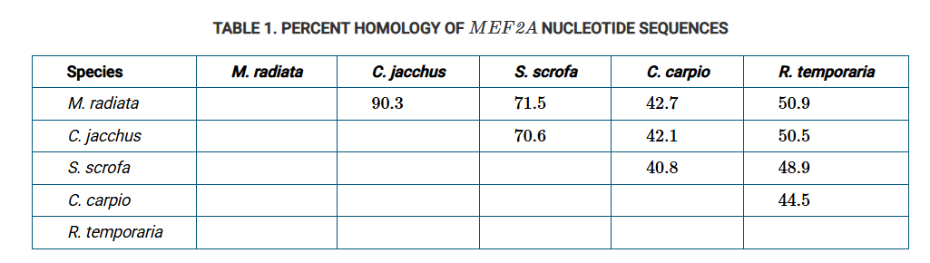<p>The MEF2A gene is critical for muscle development in many vertebrates. A researcher sequenced the MEF2A gene from five vertebrate species and calculated the percent homology between the nucleotide sequences from each pair of species (Table 1).</p><p class="stem_paragraph">Which of the following cladograms is the most accurate representation of the data in Table 1 ?</p>
