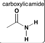 <p>carboxylic amide</p>