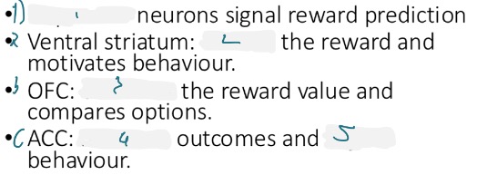 <p>How do these areas work together</p>