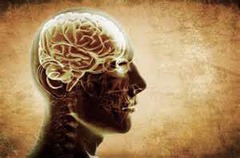<p>automatically thinking or behaving in a particular way:</p><p>Babies are hard-wired to pay attention to anything that is fast-moving, brightly colored, or loud.</p><p>All humans are hard-wired for language.</p>