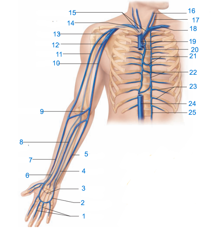 What is #6?