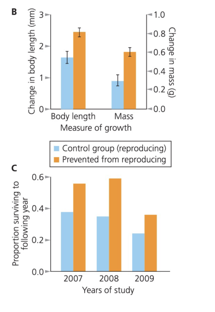 <p>non reproducing anoles lived longer than reproducing ones. </p>