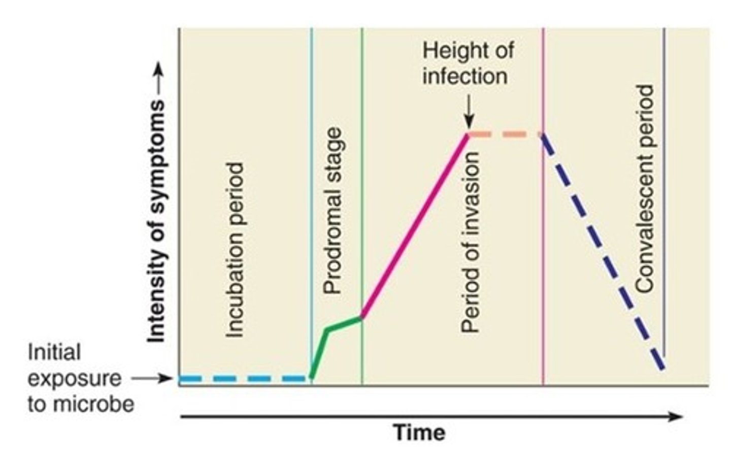 <p>the period between exposure to an infection and the appearance of the first symptoms</p>
