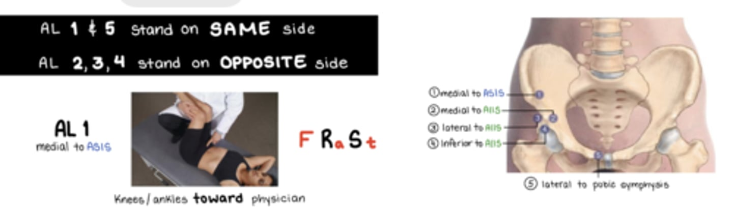 <ul><li><p>1, 5 same side</p></li><li><p>2, 3, 4 across the floor (opposite side)</p></li></ul><p></p><p>AL 1 = FRaSt (medial to ASIS) → knees and ankles to me</p><p>AL 2-4 = FSaRt (my little igloo) → knees and ankles to me</p><ul><li><p>AL 2 = medial to AIIS</p></li><li><p>AL 3 = lateral to AIIS</p></li><li><p>AL 4 = inferior to AIIS</p></li></ul><p>AL 5 = FSaRa (lateral to pubic symphysis) → knees to me, ankles AWAY</p>