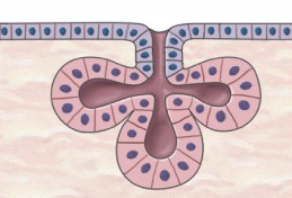 <p>What is this?</p>