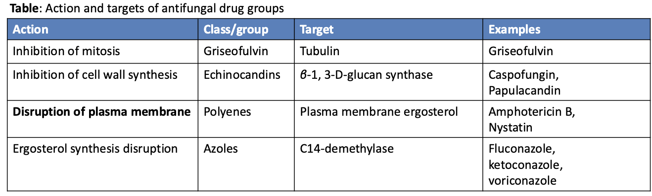 <ul><li><p>Much more problematic (eukaryotes!)</p></li><li><p>Very few available drugs, and the few must focus on</p><ul><li><p>Disruption of cell <strong><em>ergosterol</em></strong> (instead of cholesterol in human cell membranes)</p><ul><li><p>Ex. Azole class drugs</p></li></ul></li><li><p>Inhibition of chitin cell wall structures</p></li><li><p>Selective inhibition of the formation of microtubules needed for mitosis (difficult!)</p></li></ul></li></ul><p></p>