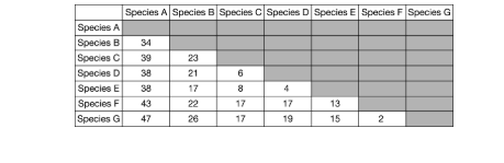 <p>Scientists are interested in determining the evolution of seven lizard species found on different islands of the Canary Island group. They isolated DNA from individuals of each species and sequenced the mitochondrial gene that encodes cytochrome <em>b</em>. The numbers of genetic differences between species are shown in the table below.</p><p>Based on the data in the table, which of the following lizard species are most closely related?</p><p>A) Species C and species B</p><p>B) Species E and species D</p><p>C) Species F and species B</p><p>D) Species G and species A</p>