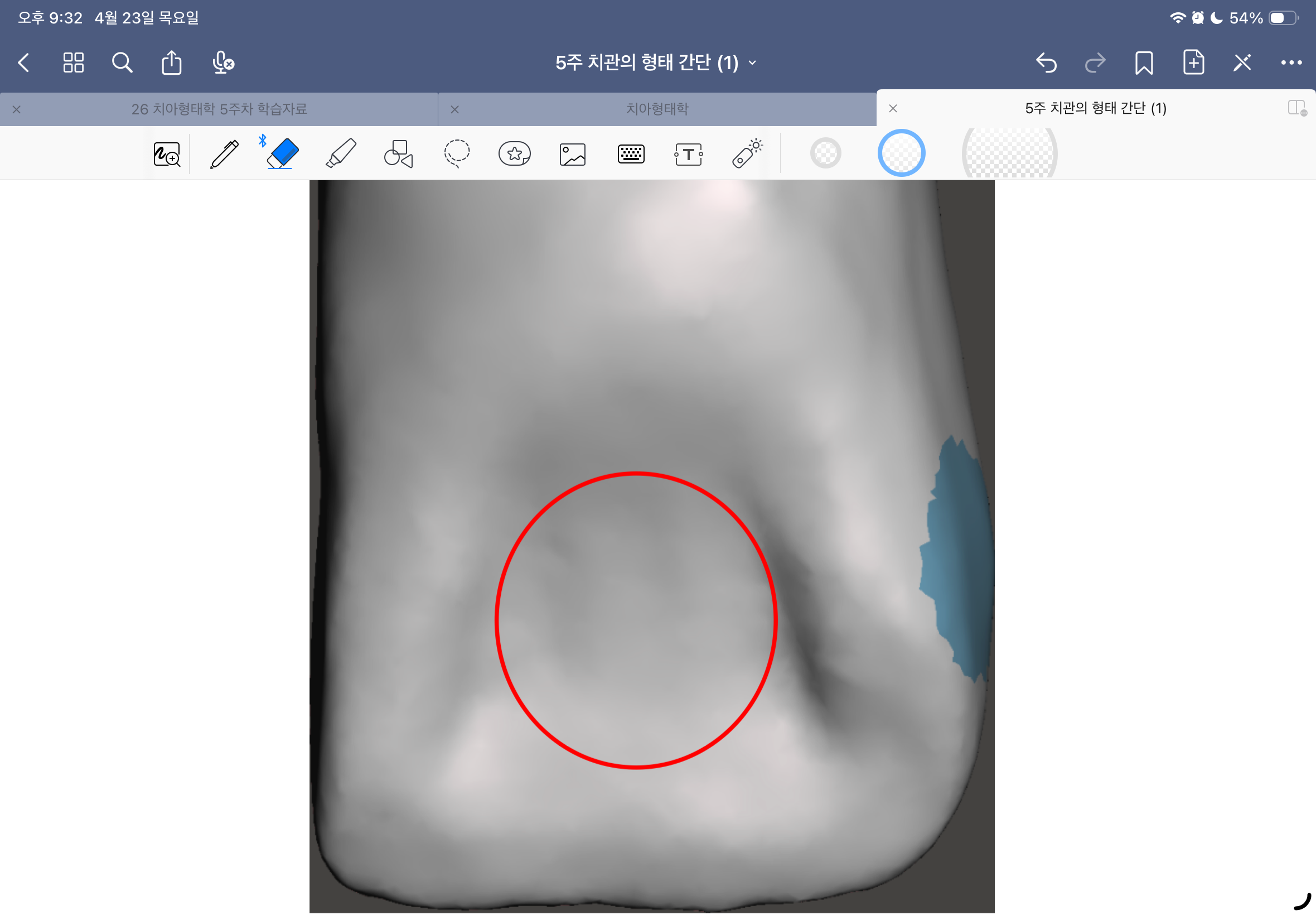 <p>이 와의 이름은? 한글, 영어</p>