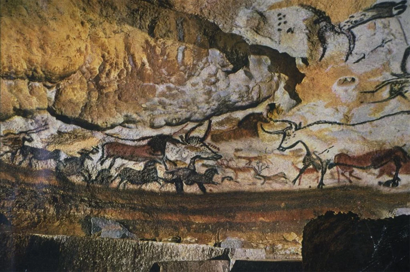 <p>___ was used almost exclusively for the representation of animals in Paleolithic art.</p>