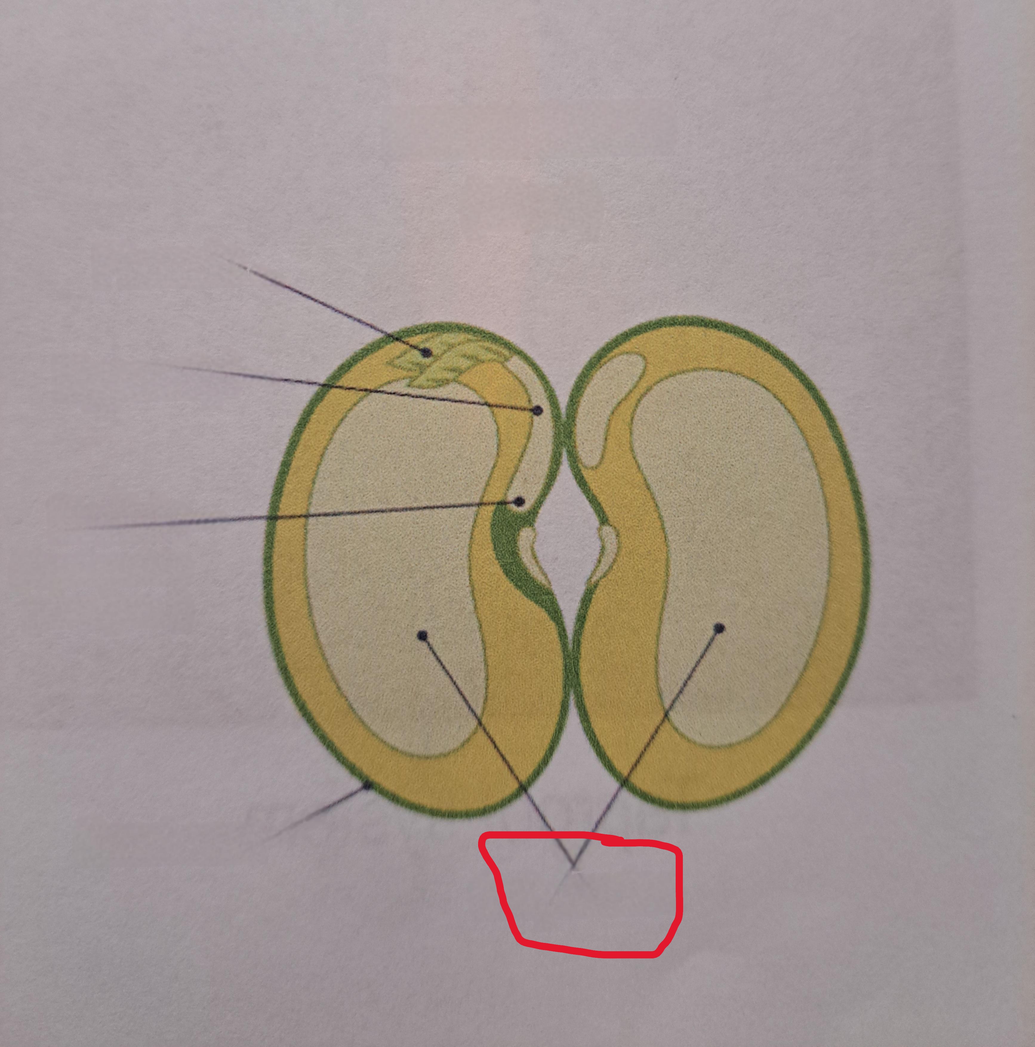 <p>What is this?</p>