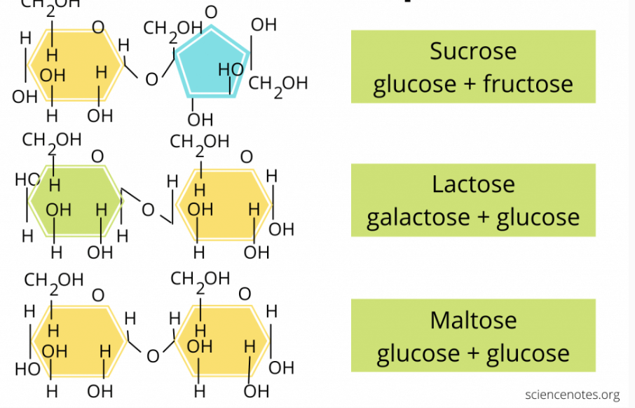<p>What is this?</p>