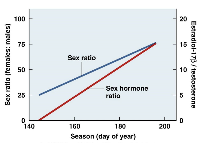 <p>mammals</p><ul><li><p>XY (M), XX (F)</p><ul><li><p>XXY, XXX, or XØ are possible (will not be able to reproduce), but not YØ (cannot survive)</p></li></ul></li></ul><p>birds, butterflies</p><ul><li><p>ZZ (M), ZW (F)</p></li></ul><p>bees</p><ul><li><p>diploid (F), haploid (M)</p></li></ul><p>tortoises, crocodiles</p><ul><li><p>temperature-dependent sex determination (warmer temps = ↑ number of females, cooler temp = ↓ number of males)</p></li></ul><p></p>