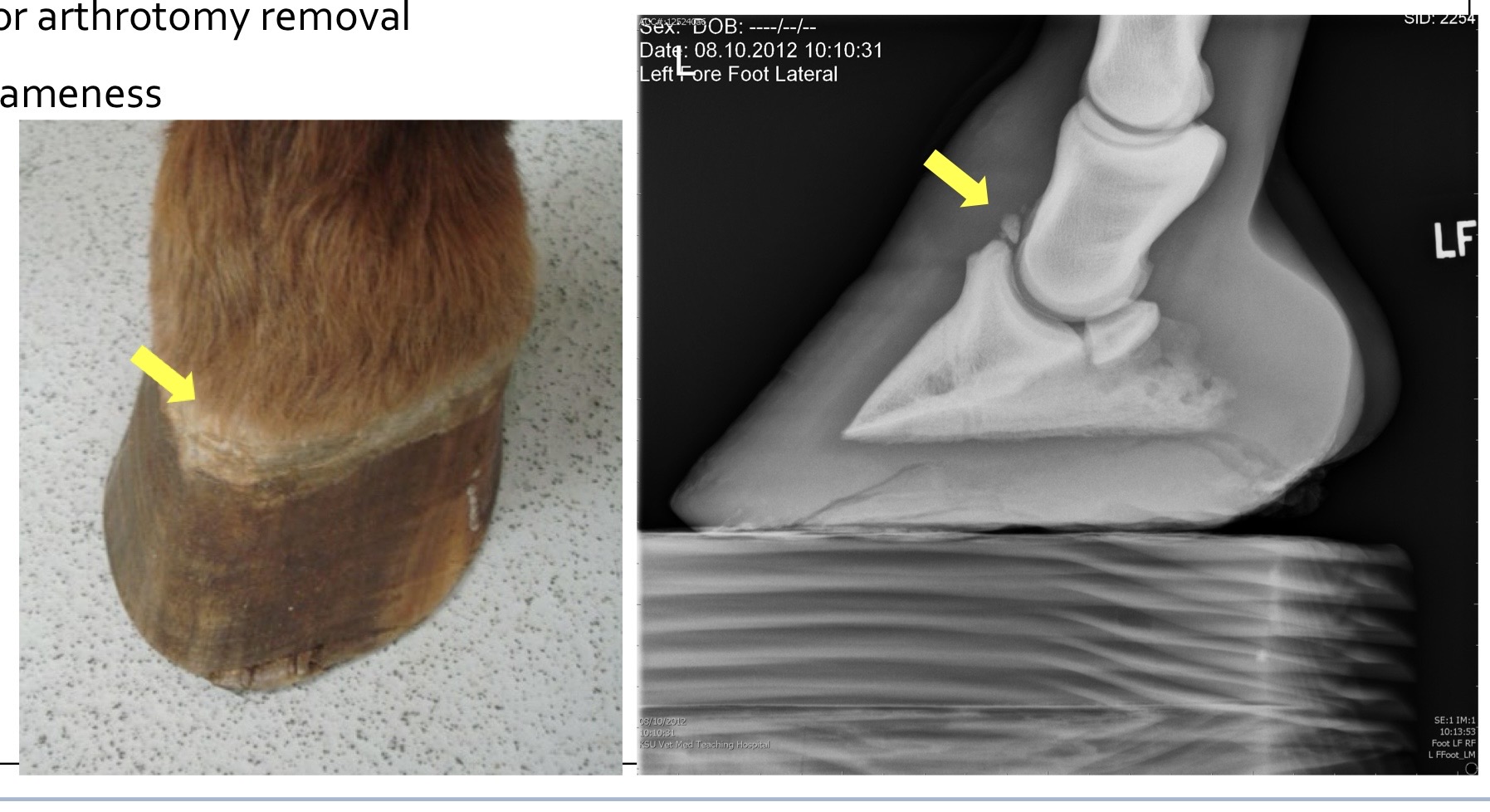 <p>what are these showing?</p>