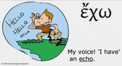 <p>I have</p>