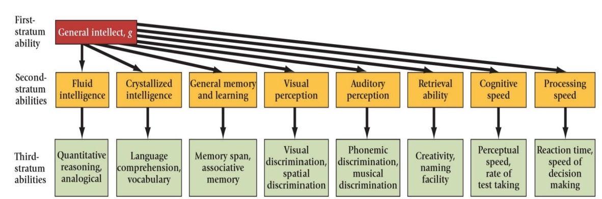 <p>Hierarchical Models and Carroll’s three Stratum theory</p>