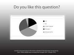 <p>un sondage d'opinion</p>