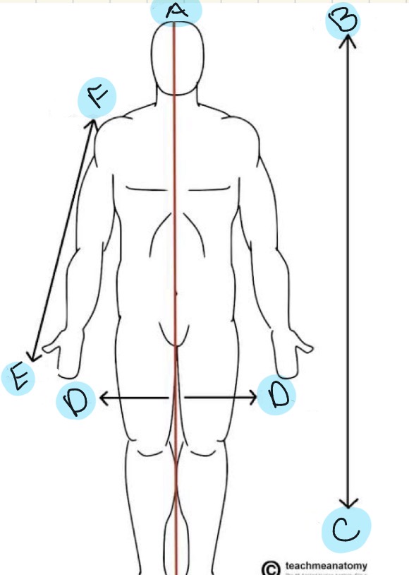 <p>what position is D?</p>