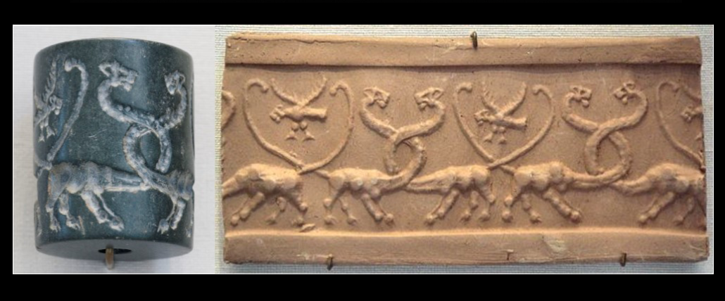 <p>identify seal </p>