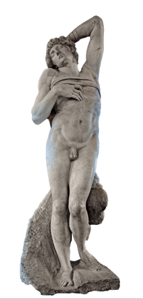 term image