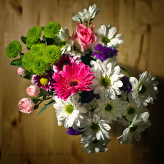 <p>купа, безліч </p><p>She brought ____ flowers for her friend's birthday.</p>