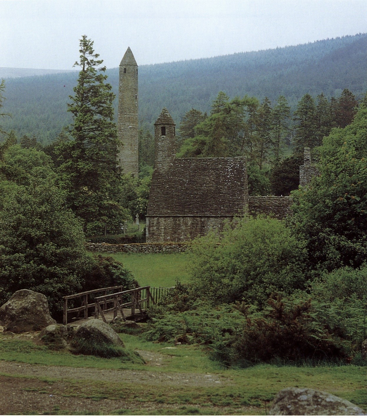 term image