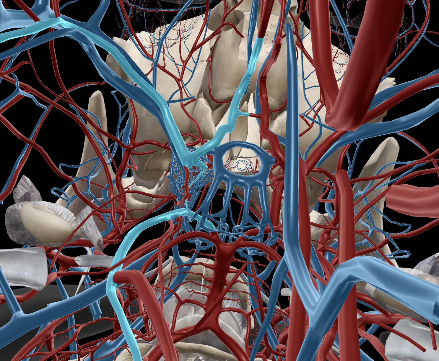 knowt flashcard image