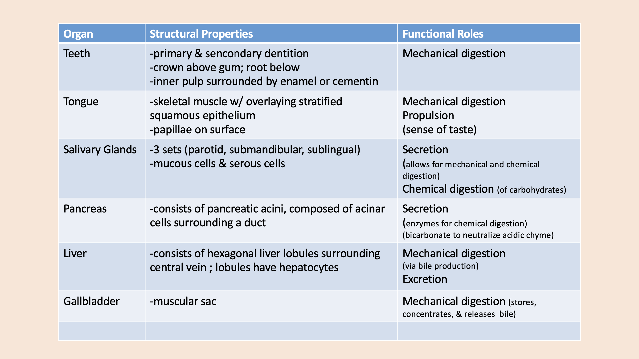 <p><span>salivary glands</span></p>
