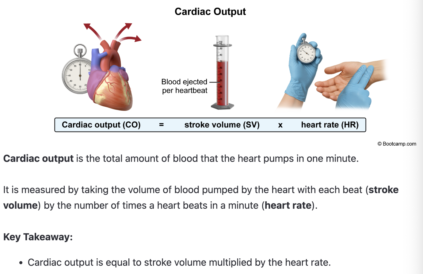 <p>stroke volume x HR</p><p></p>