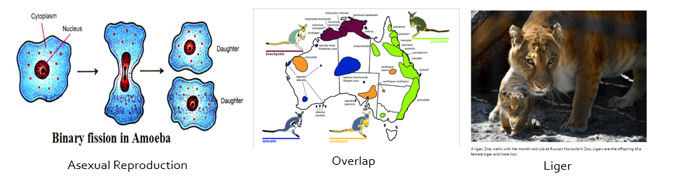 <p>Asexual reproduction, overlap populations, and hybrids don’t easily fit into species definition </p>