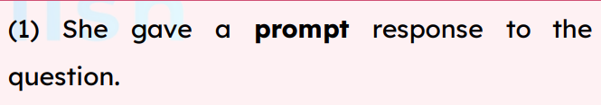 <p>prompt</p>