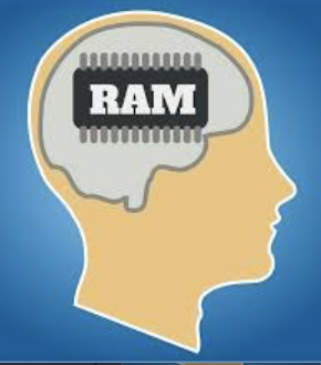 <p>Long-term memory</p>