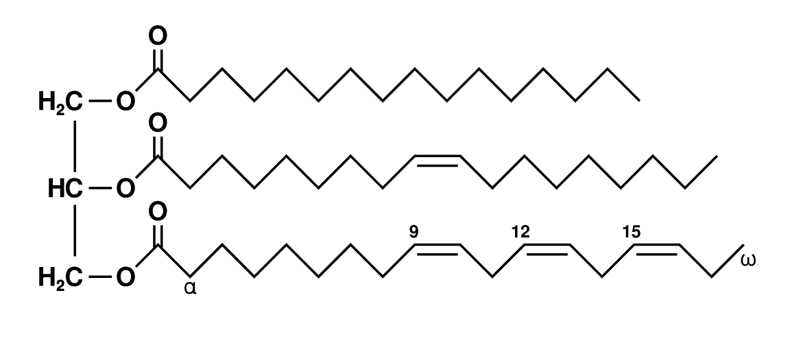 <p><span>Triglyceride</span></p>