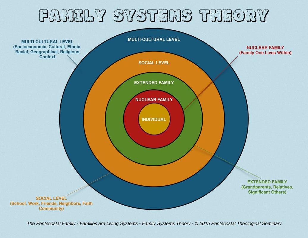 <p>family systems model</p>