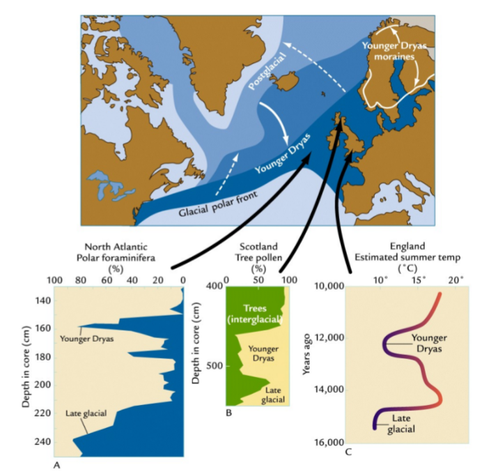 <ul><li><p>Glaciers halted their retreat and readvanced </p></li><li><p>Much of the North Atlantic experienced cold temperatures</p></li></ul><p></p>