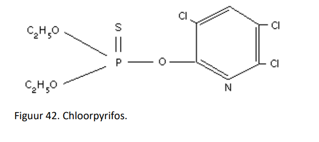<p><strong>chloorpyrifos:</strong></p><ul><li><p>hoewel veel pesticiden een complece organische structuurformule hebben, bezitten welbepaalde pesticidegroepen een eenvoudig centrum waarrond er verschillende zijgroepen kunnen aangebouwd worden</p></li><li><p>de efficientie van het product wordt dan bepaald door deze zijgroepen</p></li><li><p>het zenuwstelsel van insecten vertoont grote gelijkenissen met deze van de mens, waardoor voorzichtigheid geboden is voor de mens</p></li></ul><p></p>