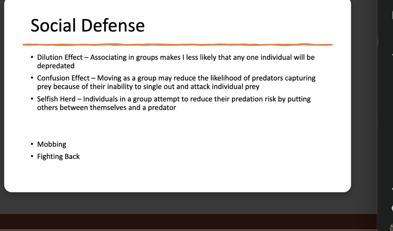 <p>Dilution- predation through the ice by leopard seals </p><p>Confusion -mass exodus from ice… a subset of dilution effect </p>
