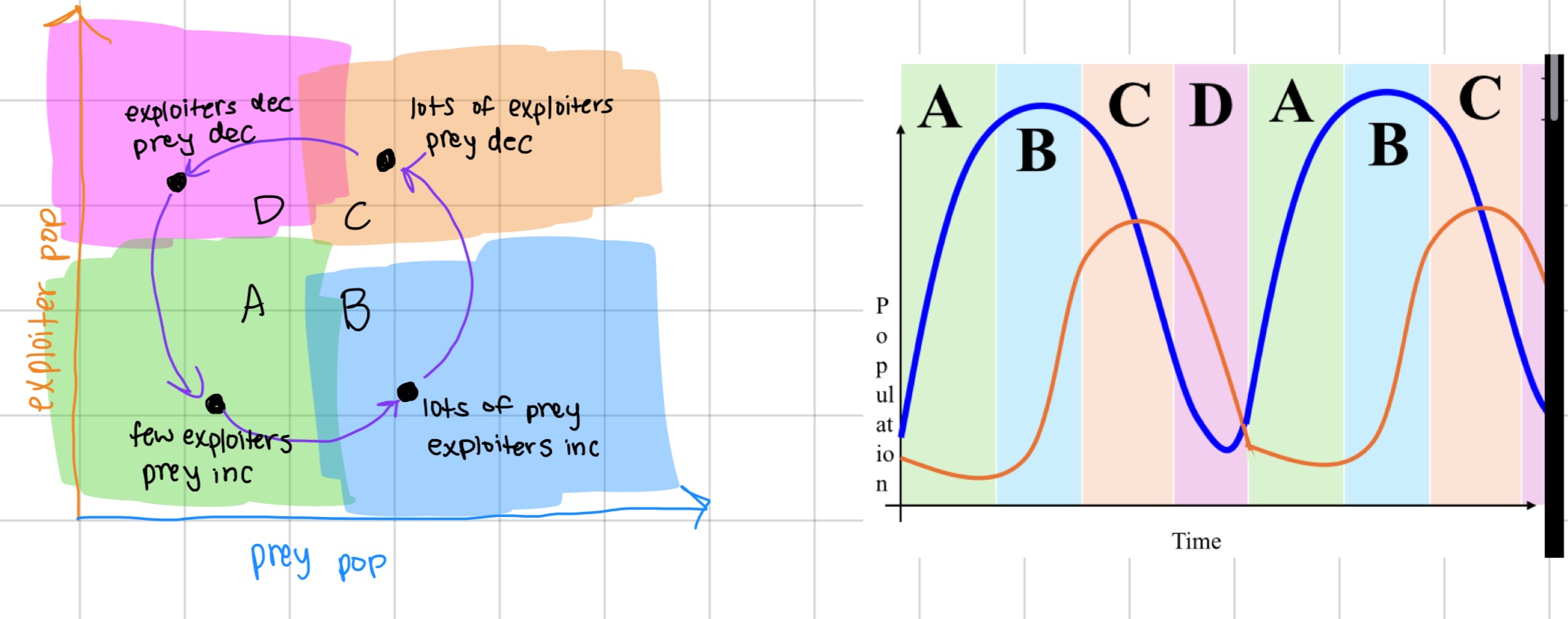 knowt flashcard image