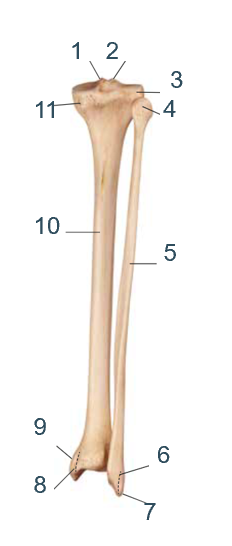 <p>6?</p>